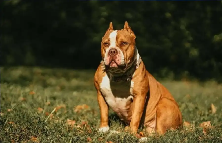 مدار الساعة,أخبار خفيفة ومنوعة,وزارة البيئة