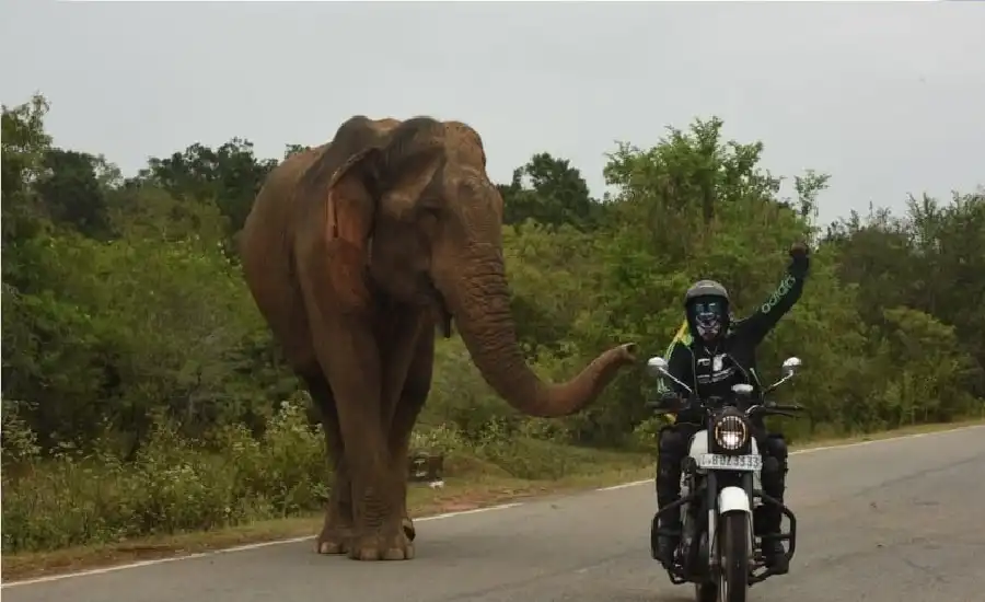 مدار الساعة,أخبار خفيفة ومنوعة
