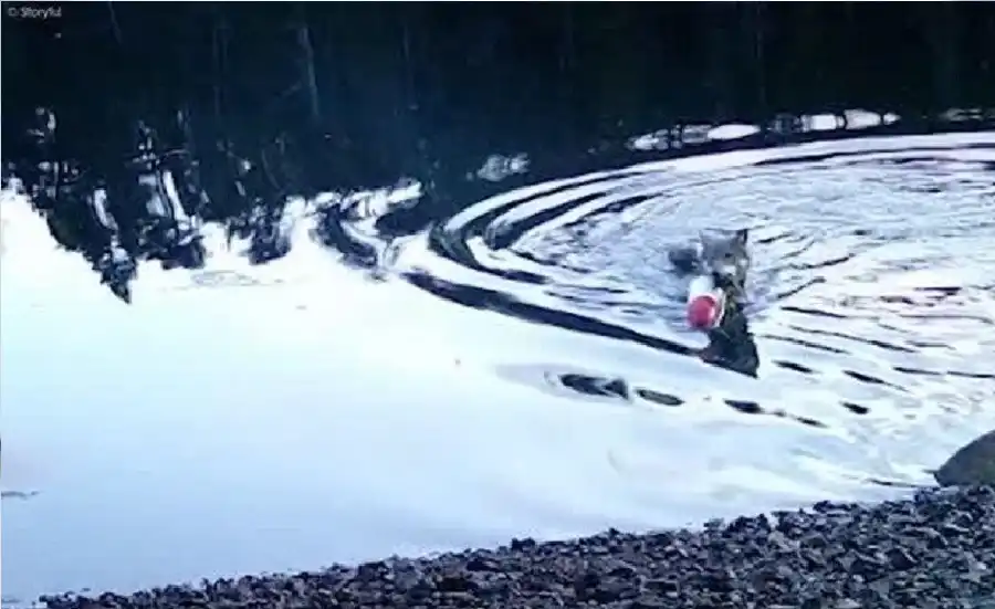 مدار الساعة,أخبار خفيفة ومنوعة