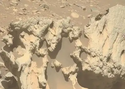 ما سرها؟ ناسا مصدومة من صخرة