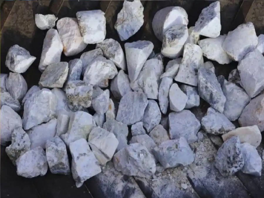 مدار الساعة,أخبار خفيفة ومنوعة