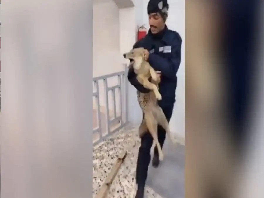 مدار الساعة,أخبار خفيفة ومنوعة