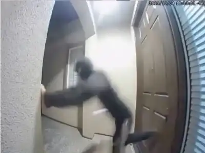 حذروا اطفالكم.. تحديات تيك توك تدفع