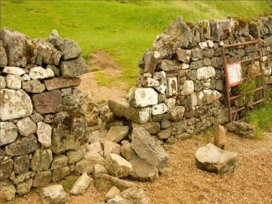 مدار الساعة,أخبار خفيفة ومنوعة,وسائل التواصل الاجتماعي