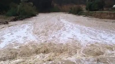 السيول تجرف حافلة في الزرقاء.. ومصدر