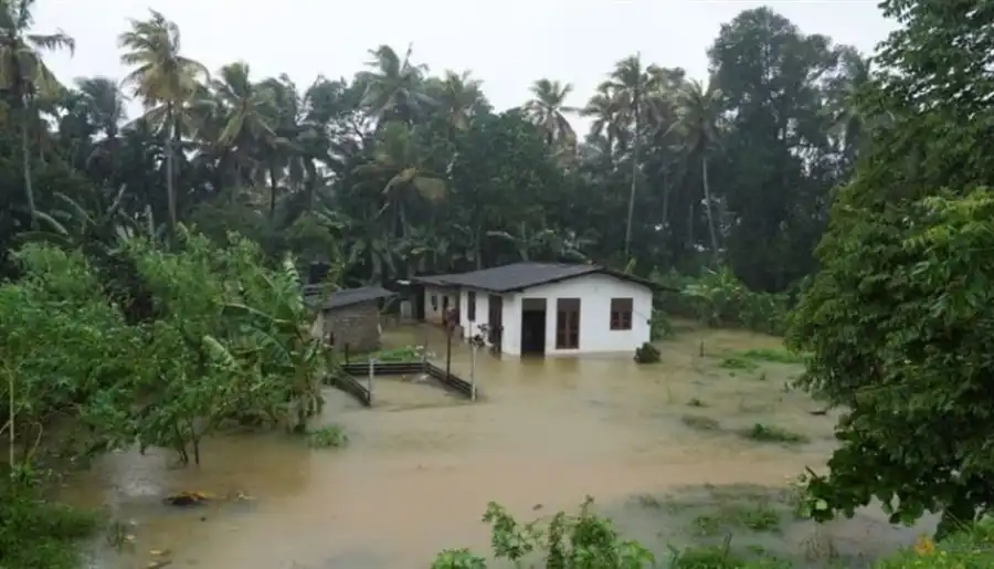 مدار الساعة,أخبار خفيفة ومنوعة,إدارة الكوارث