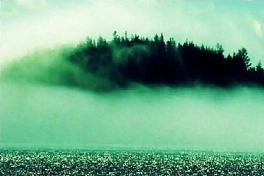 مدار الساعة,أخبار خفيفة ومنوعة