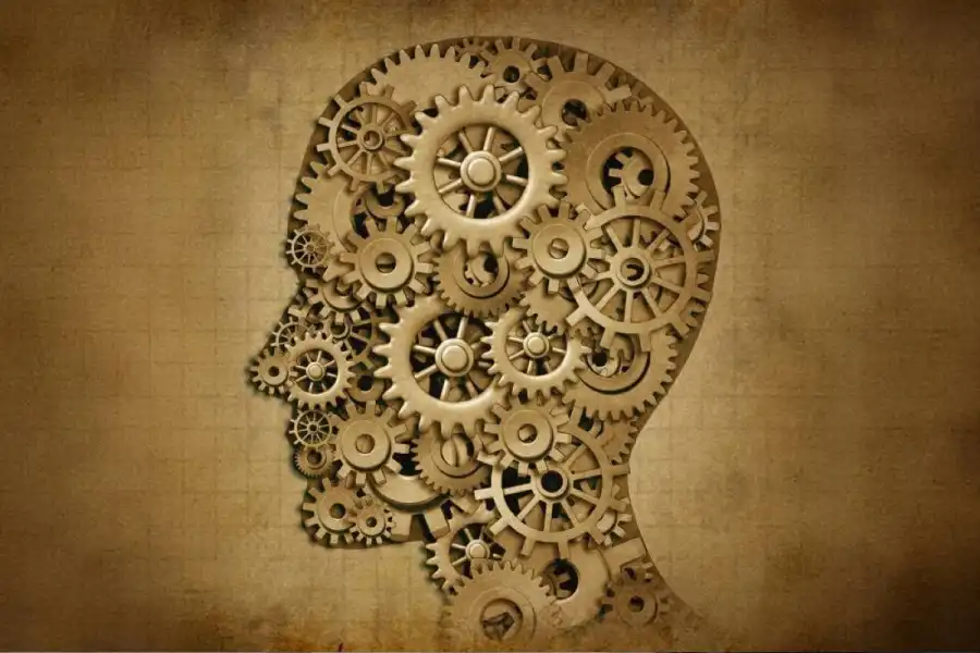 مدار الساعة,أخبار الصحة والأسرة