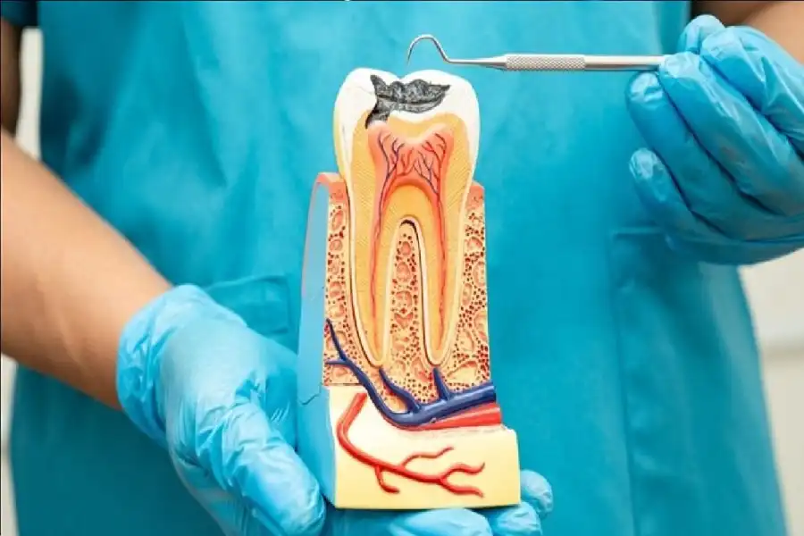 مدار الساعة,أخبار الصحة والأسرة