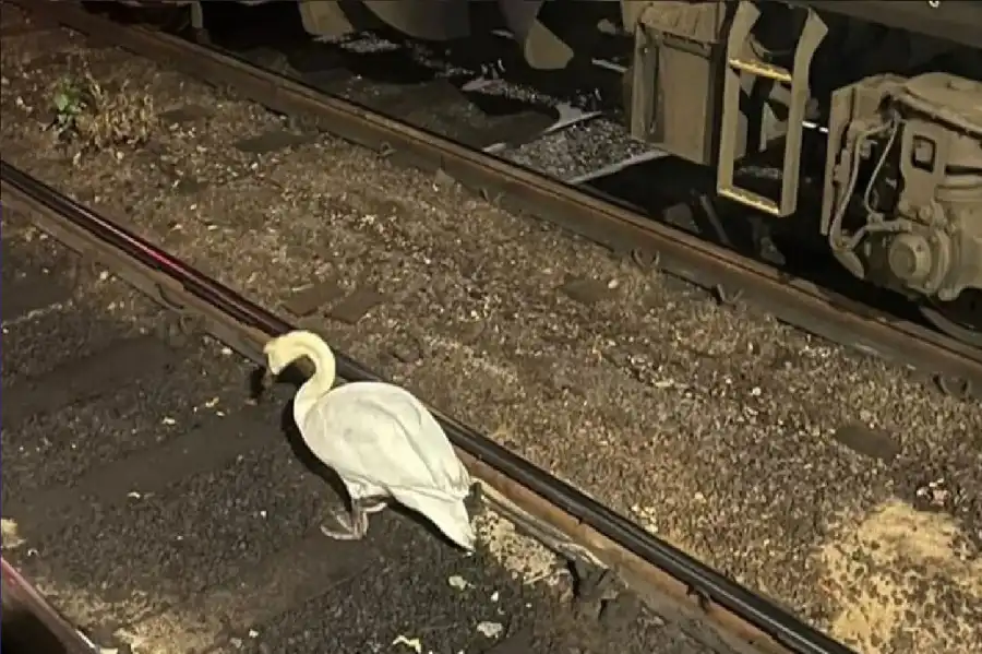 مدار الساعة,أخبار خفيفة ومنوعة