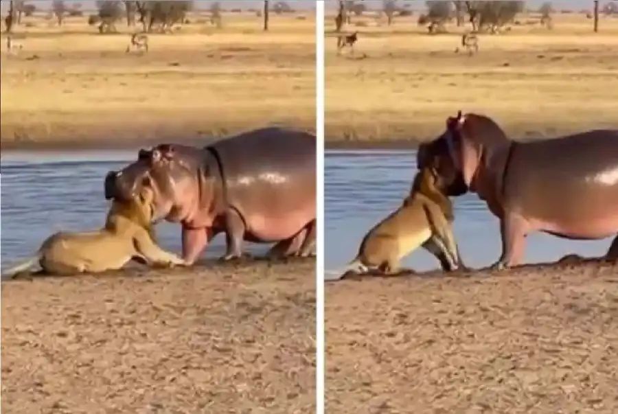 مدار الساعة,أخبار خفيفة ومنوعة,مواقع التواصل الاجتماعي,الذكاء الاصطناعي