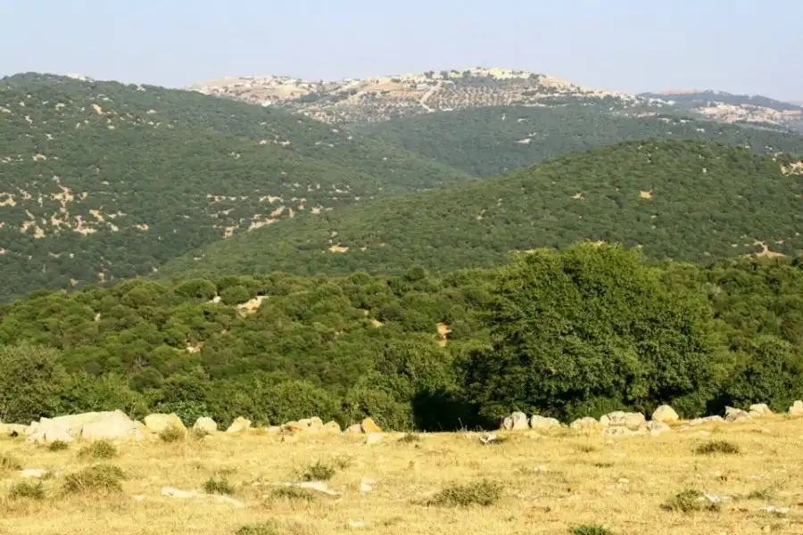 مدار الساعة,مناسبات أردنية,وزارة الزراعة