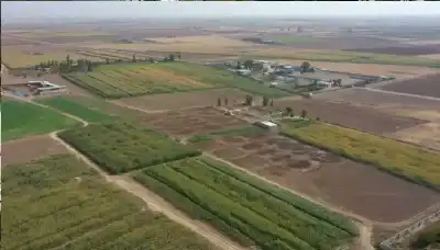 خلاف الورثة على أرض وعقار: هل