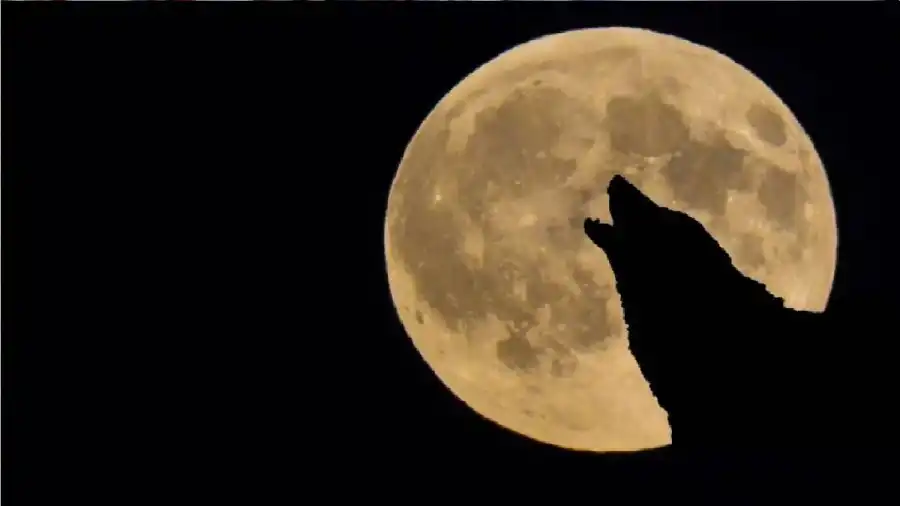 مدار الساعة,أخبار خفيفة ومنوعة