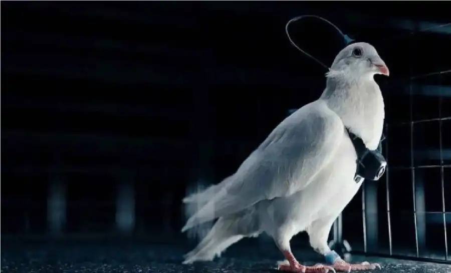 مدار الساعة,أخبار التكنولوجيا، التقنيات,الذكاء الاصطناعي