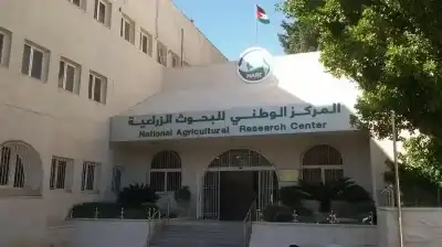 الرواشدة: إنجازات نوعية غير مسبوقة للمركز