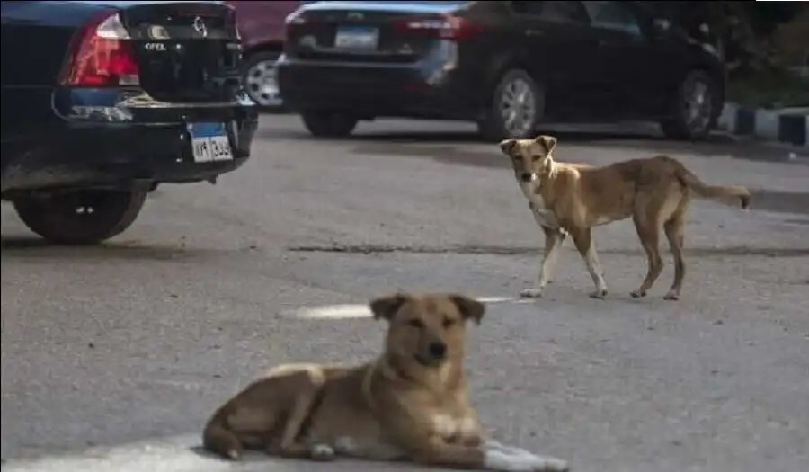 مدار الساعة,أخبار خفيفة ومنوعة