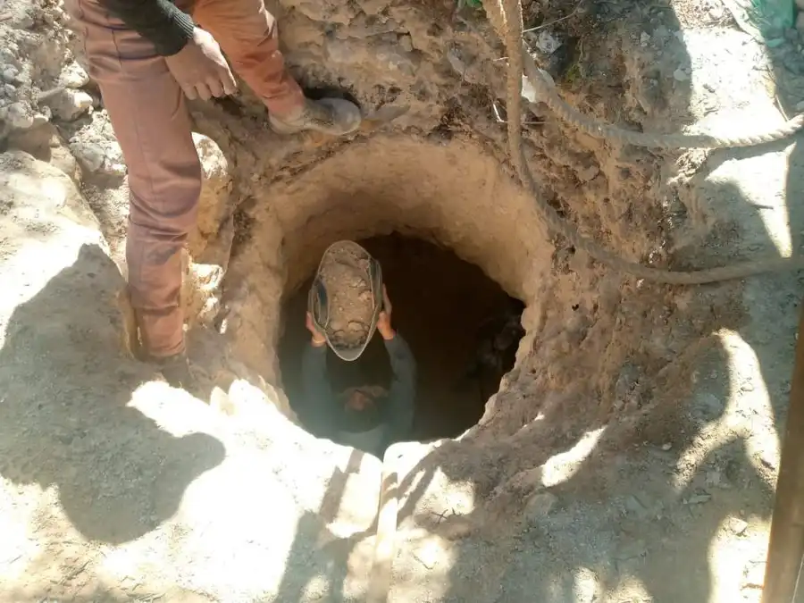 مدار الساعة,أخبار الأردن,اخبار الاردن,يوم الشجرة,الدفاع المدني