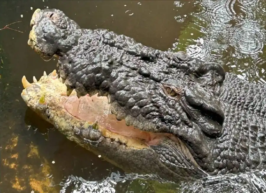 مدار الساعة,أخبار خفيفة ومنوعة