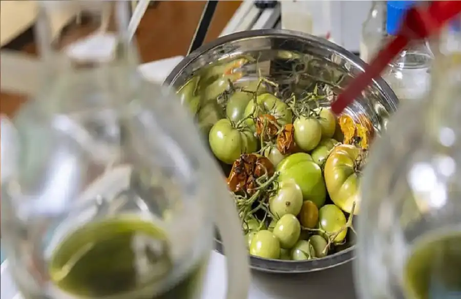 مدار الساعة,أخبار التكنولوجيا، التقنيات,الاتحاد الأوروبي