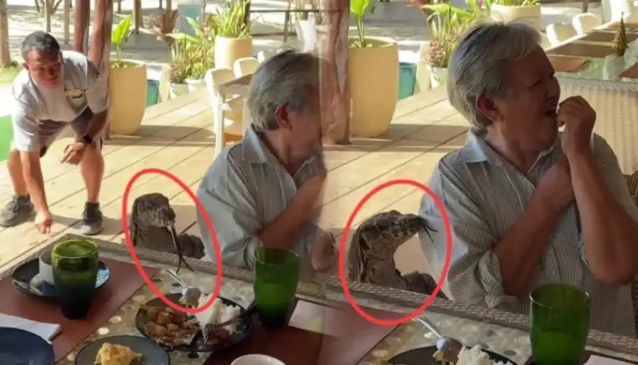 مدار الساعة,أخبار خفيفة ومنوعة,مواقع التواصل الاجتماعي