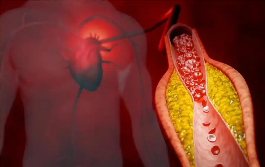 مدار الساعة,أخبار الصحة والأسرة