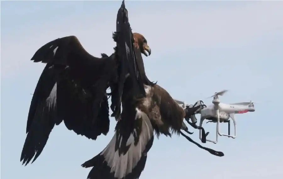 مدار الساعة,أخبار خفيفة ومنوعة