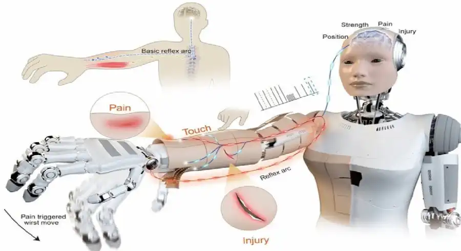 مدار الساعة,أخبار التكنولوجيا، التقنيات