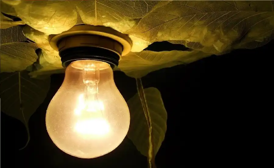 مدار الساعة,أخبار الصحة والأسرة