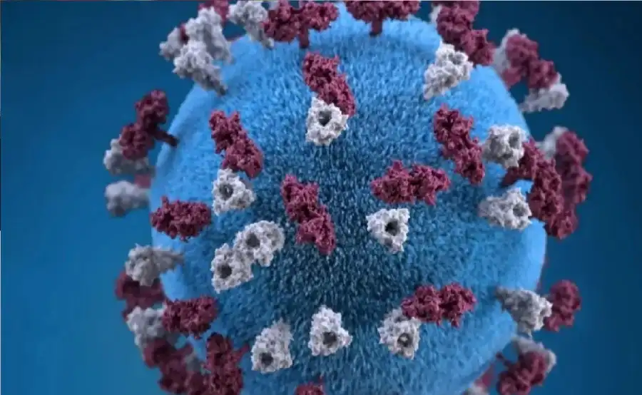 مدار الساعة,أخبار الصحة والأسرة,وزارة الصحة