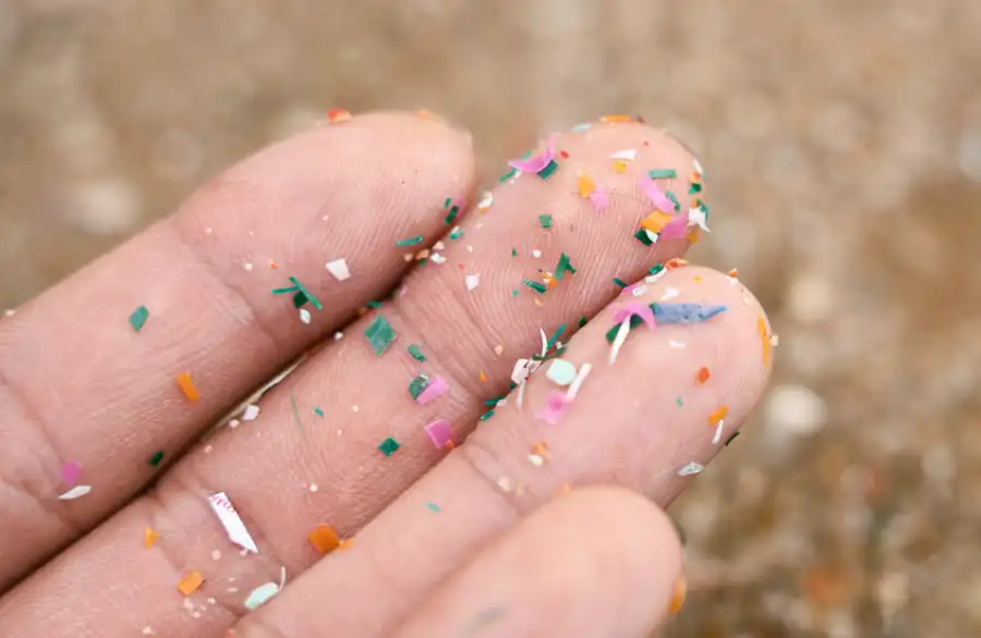 مدار الساعة,أخبار الصحة والأسرة