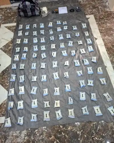 الجيش الأردني: رصدناها وأسقطناها (صور)