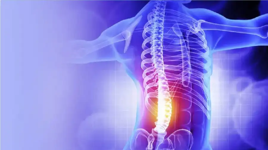 مدار الساعة,أخبار الصحة والأسرة