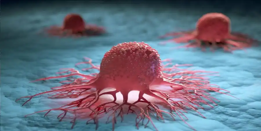 مدار الساعة,أخبار الصحة والأسرة