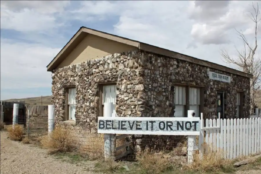 مدار الساعة,أخبار خفيفة ومنوعة