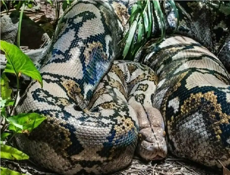 مدار الساعة,أخبار الصحة والأسرة