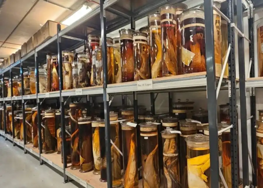 مدار الساعة,أخبار خفيفة ومنوعة