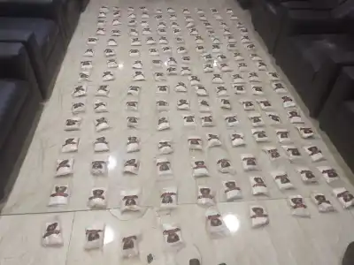 الجيش الأردني: رصدناها وأسقطناها