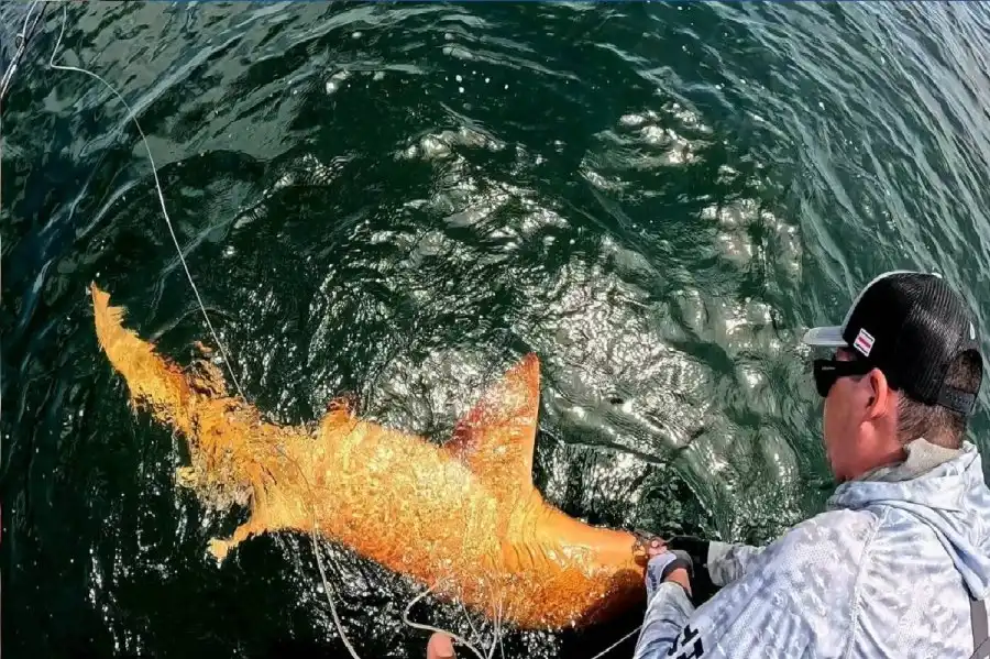 مدار الساعة,أخبار خفيفة ومنوعة