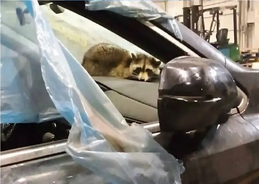 مدار الساعة,أخبار خفيفة ومنوعة