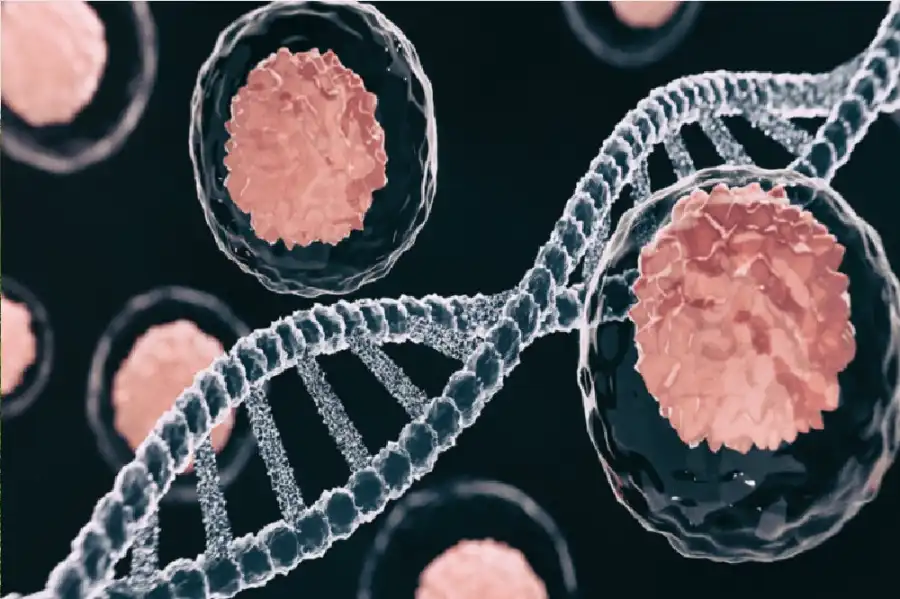 مدار الساعة,أخبار الصحة والأسرة