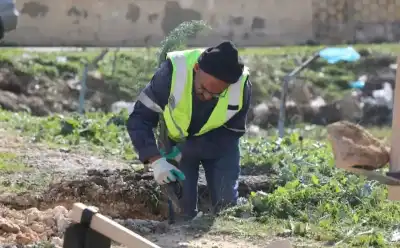 الإدارة المحلية توجّه البلديات لغرس 250