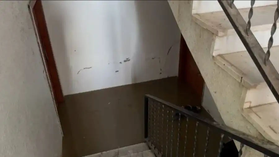 مدار الساعة,أخبار الأردن,اخبار الاردن