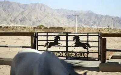 نادي الفروسية إضافة نوعية تعزز تنوع