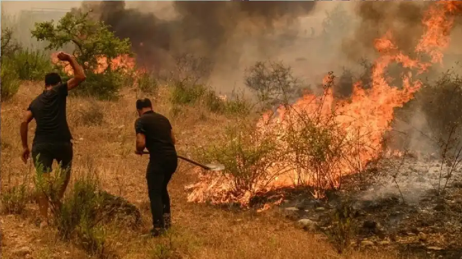 مدار الساعة,أخبار خفيفة ومنوعة