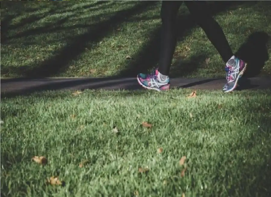 مدار الساعة,أخبار الصحة والأسرة