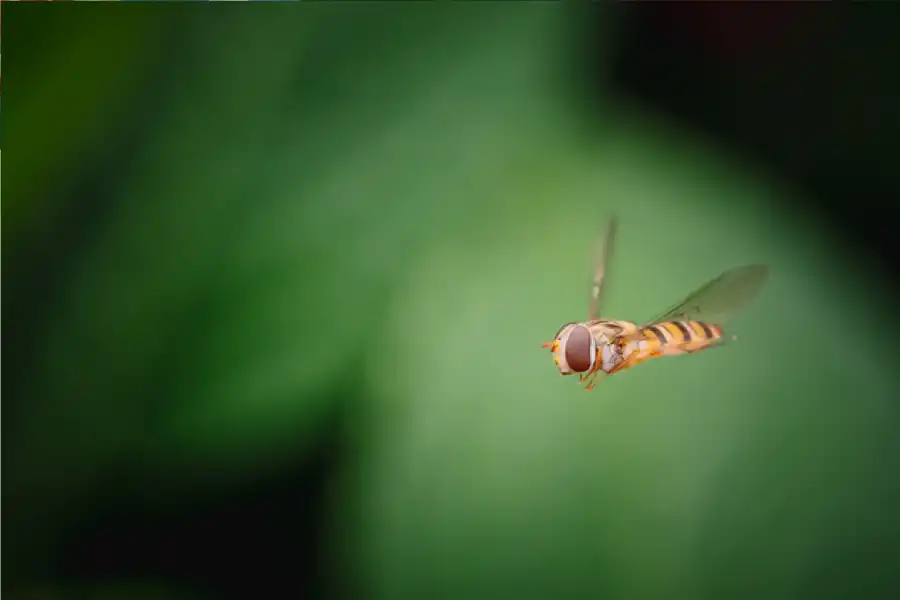 مدار الساعة,أخبار خفيفة ومنوعة