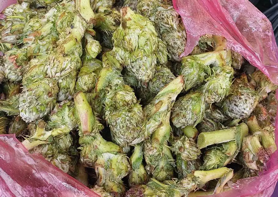 مدار الساعة,أخبار اقتصادية,المركز الوطني للبحوث الزراعية,مؤسسة عبد الحميد شومان,التنمية المستدامة