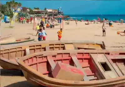 الرأس الأخضر.. بكتيريا شيغيلا القاتلة تلاحق