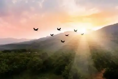 عن العبادة القلبية